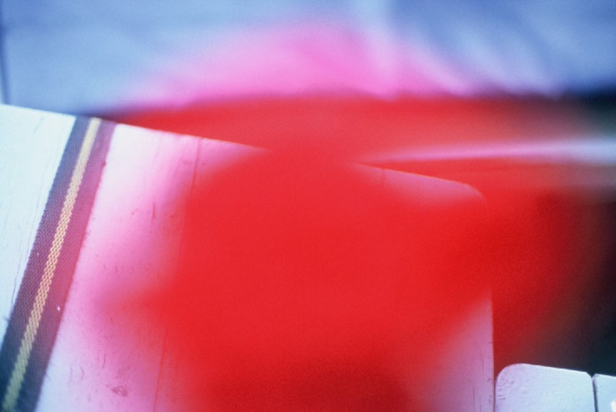 flucL2